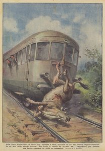 Op de lijn Adria-Piove di Sacco werd een railbus aangereden door een plotseling opduikende os